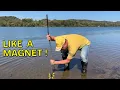 This Stick Finds Arrowheads