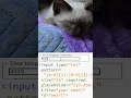 HTML input tel pattern