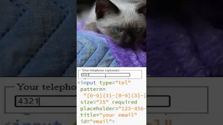 HTML input tel pattern
