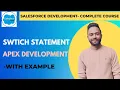 Use Switch Statement in Salesforce Apex Conditional Statement in Salesforce Apex with Example