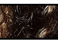UICIDEBOY - HAIR