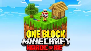I Survived 100 Days on One Block in Hardcore Minecraft..