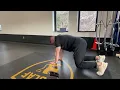 Multi-Directional Bear Crawl