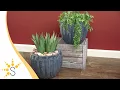 Sunnydaze 10 Ceramic Planter Set of 2 - Black Mist Fluted Finish