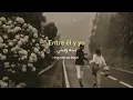 Sherine - Kalam Eineh [Sub español + lyrics]