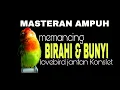 MASTERAN ! Memancing BIRAHI \u0026 BUNYI lovebird !