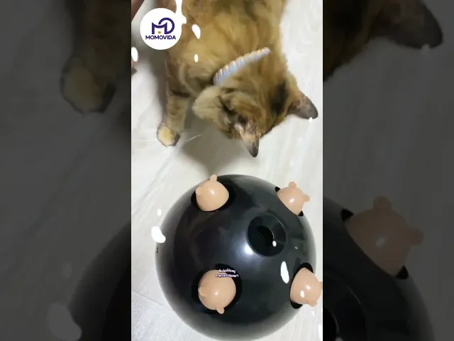 MOMOVIDA CT-1 ของเล่นแมวอัจฉริยะ หนู 4 ตัว ช่องใส่อาหาร