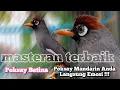 Download Lagu Poksay Genting/Poksay Mandarin Betina Gacor Manggil Manggil _ Langsung Ngeplong \u0026 Emosi