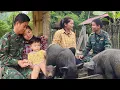 Download Lagu How to Cook food for Giant Pigs , Gardening, Taking Care Of Baby Pigs | Ly Tieu Ha