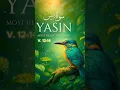Download Lagu Every Action Echoes Beyond Death – Yasin 12–14