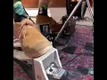 Mezerg With A Minute Of Theremin Magic!