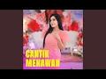 Download Lagu Cantik Menawan MP3