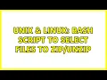 Unix Linux Bash script to select files to