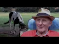 Download Lagu Op bezoek bij Stal de Ruiter