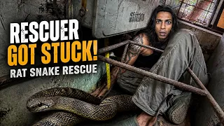 SNAKES ARE EVERYWHERE IN MUMBAI !!!!  