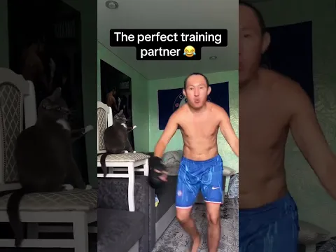 Get this cat in the gym 😭 (via dastansprut/TT)