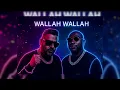 Wallah Wallah | DJV AfroDesi Remix | Badshah x Davido