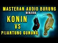Lagu KONIN vs PIJANTUNG GUNUNG | Audio MASTER BERJEDA
