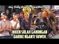 Download Lagu Niken Salindri Solah Sampe Jarike Suwek⁉️ Bersama Kang Dalang\u0026Gendowor Jaranan New Satrio Pandowo