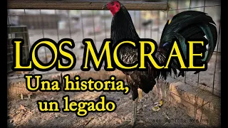 the mcraes a story of eternal legacy