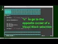 Vim 17 Visual Block Mode