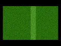 How to Apply Lawn Fertilizer Using a Drop Spreader