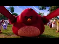 Terence is da biggest bird