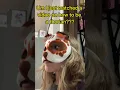 POV you caught a fake therian