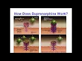 Buprenorphine for Opioid Use Disorders An Introduction
