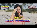 Download Lagu LAGU JOGET CICAK DIDINDING🌴( JEVON PKJ ) REMIX 2025!!!
