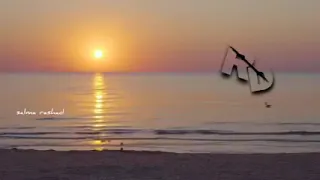 ميهمنيش مين اللي سايب دندنها