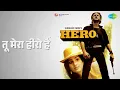 तू मेरा हीरो है | Hero | Anuradha Paudwal | Manhar Udhas Songs | Jackie Shroff