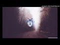 The Bug - Catch a Fire [N-18 video]