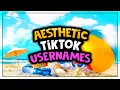 100 Tik Tok Username Ideas Inspired by Different Subjects