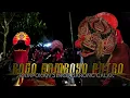 Lagu Rampokan Singo Barong Rogo Samboyo Putro live Kasembon Malang 2022