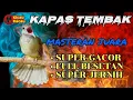 Download Lagu KAPAS TEMBAK NGEBREN PANJANG||MASTERAN WAJIB BURUNG JUARA