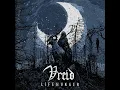 Black Rites in the Black Nights - Vreid