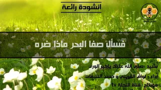 صلى الله عليك ياخير الورى أنشودة جميلة جدا 