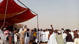 ود العقيد دندنها