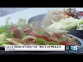 Grab the taste of Mexico at La Catrina in Houghton