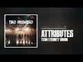 Attributes - Team Eternity Ghana