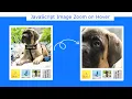 Image Magnifier JavaScript Image Zoom on Hover using JavaScript Image Hover Effect