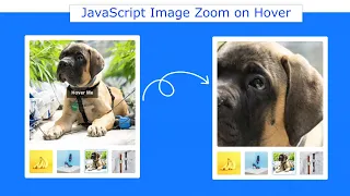 Image Magnifier JavaScript Image Zoom on Hover using JavaScript Image Hover Effect