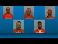 Five arrested in Williamson County cattle theft ring tied to 70 stolen livestock