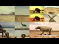 Download Lagu All Nissin Prehistoric Creature Adverts Played At Once