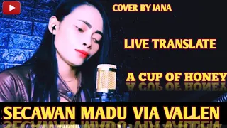 Download MIX SECAWAN MADU - VIA VALLEN - COVER BY JANA dj full bass/dj full bass 2023 MP3