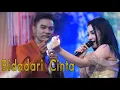 Download Lagu Bidadari Cinta -  GERLA Gerry dan LAla - New ALPINO Ft RIMBA Audio