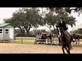 WIHS Hunter Phase HITS Ocala 24