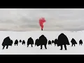 Oceanvs Orientalis - Revenge Of The Wankers (El Mundo & Zazou Remix)