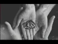 عليكي گمل وقلبك صافي وابن حلال English and urdu subtitles